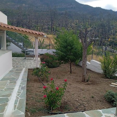 Σπίτι Στο Βουνό Αλλά Μια Ανάσα Από Τη Θάλασσα Villa Paleochori Dış mekan fotoğraf