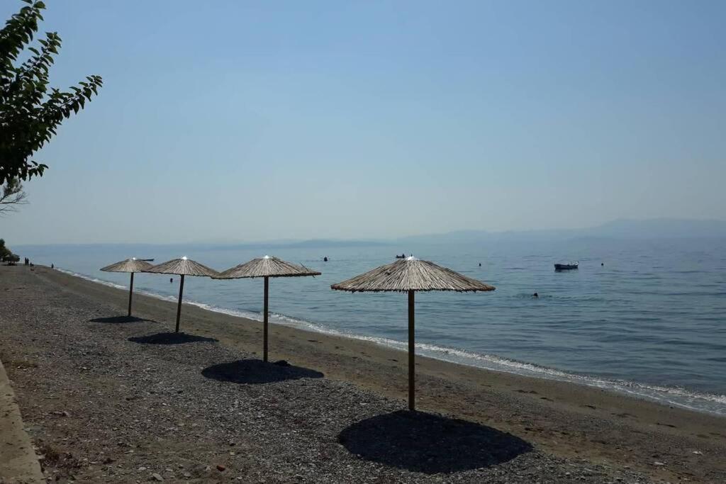 Σπίτι Στο Βουνό Αλλά Μια Ανάσα Από Τη Θάλασσα Villa Paleochori Dış mekan fotoğraf