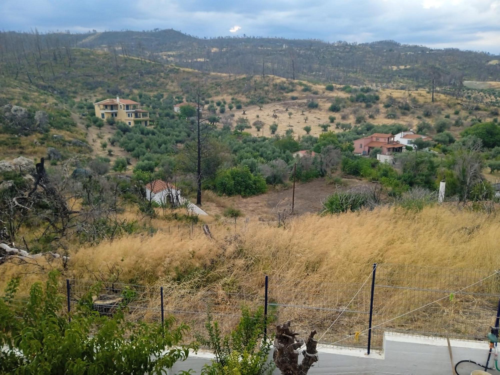 Σπίτι Στο Βουνό Αλλά Μια Ανάσα Από Τη Θάλασσα Villa Paleochori Dış mekan fotoğraf